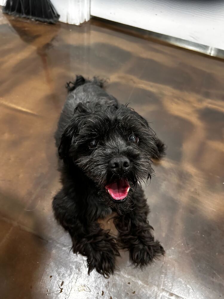 Grover