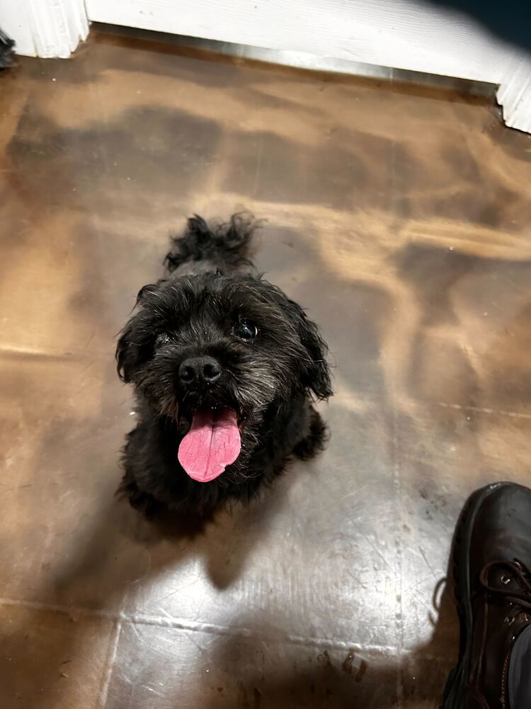 Grover