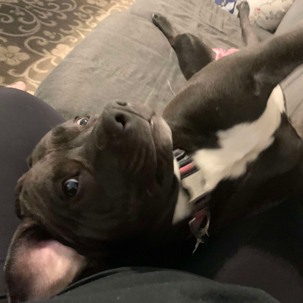 Bella Bella