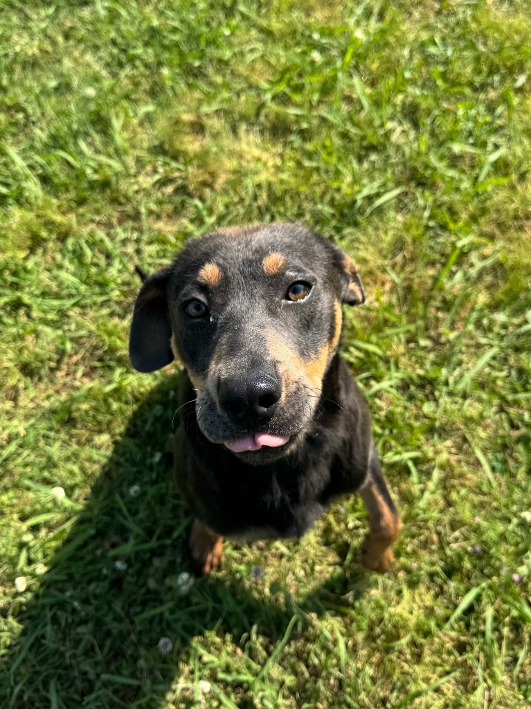 Murphy