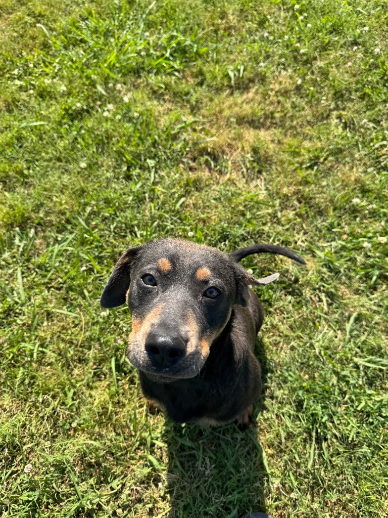 Murphy