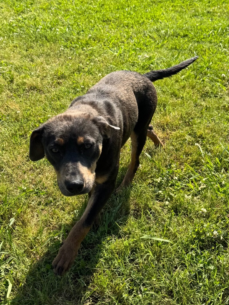 Murphy