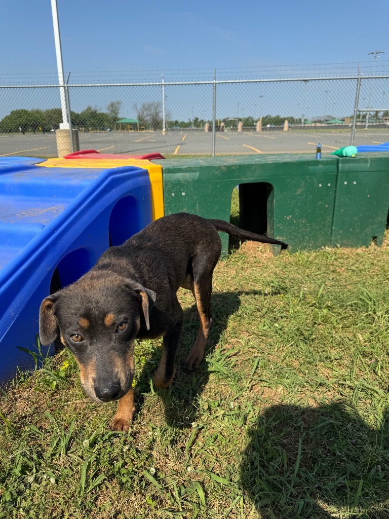 Murphy