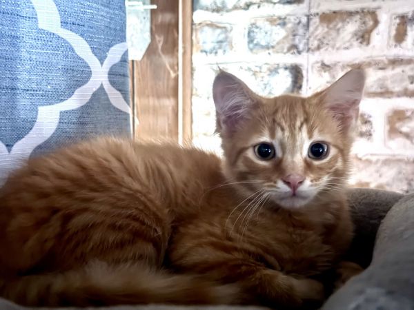 Baby Aiden thumbnail 2