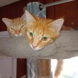 Baby Aiden thumbnail 3