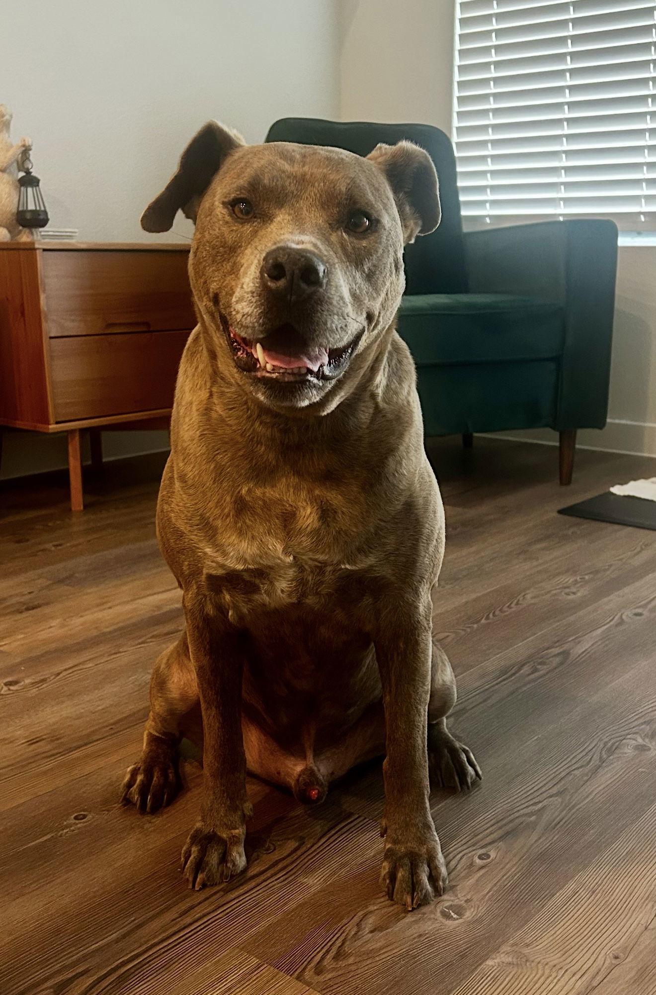 Duke