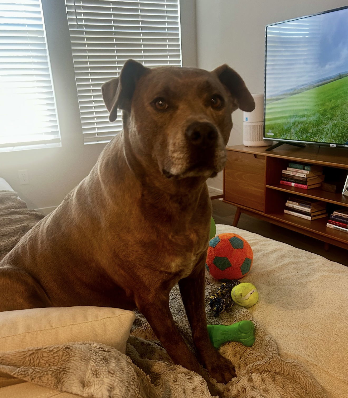 Duke