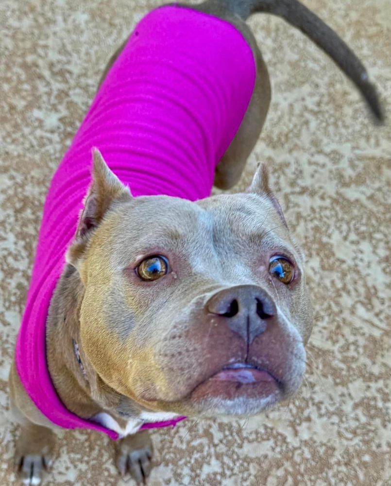 Mocha