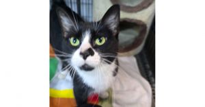 Jadelyn, Senior Female unknown