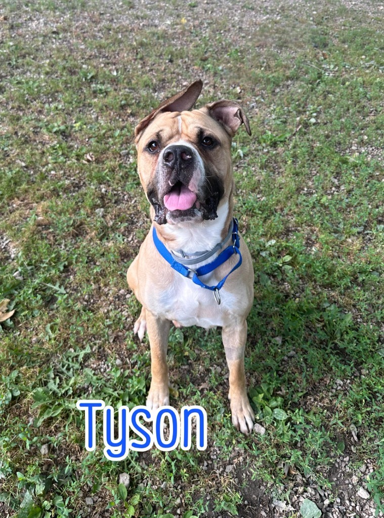 Tyson