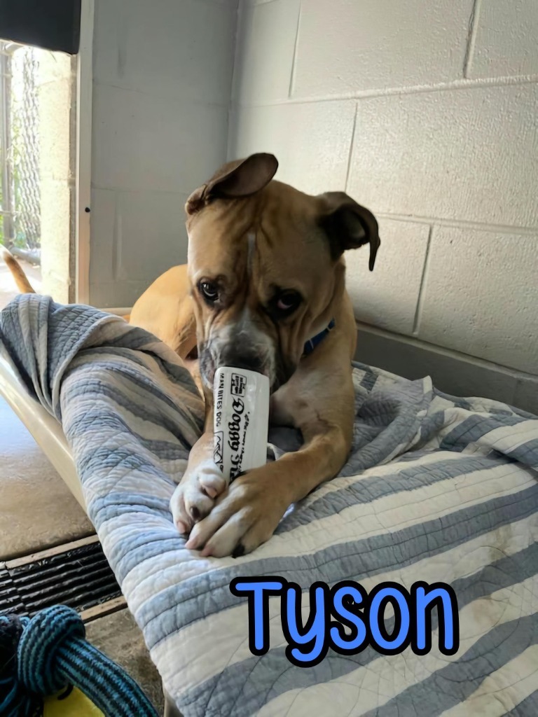 Tyson