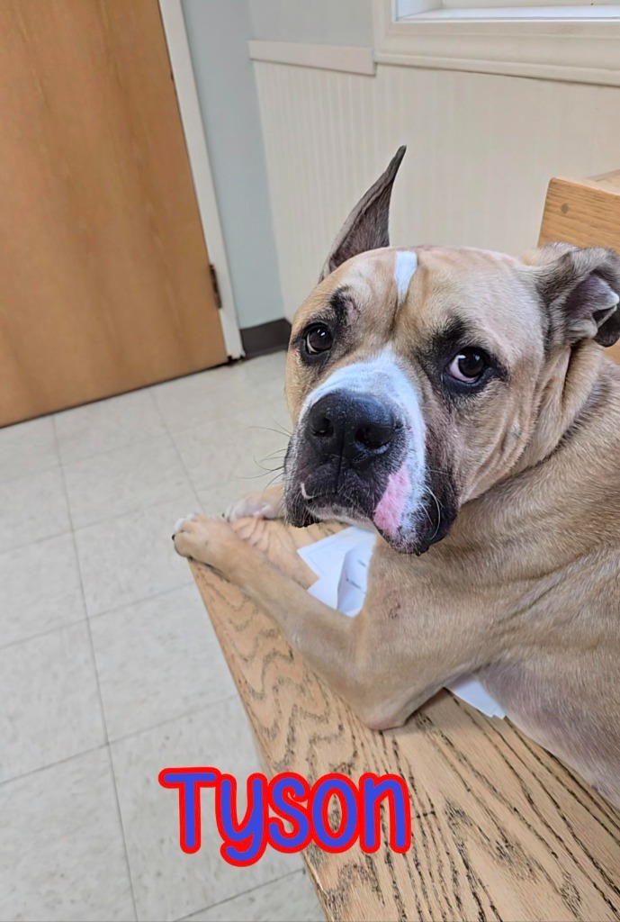 Tyson