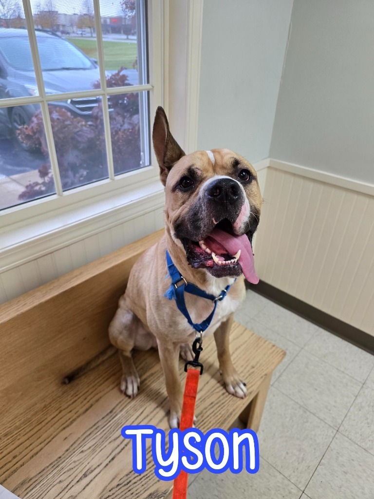 Tyson