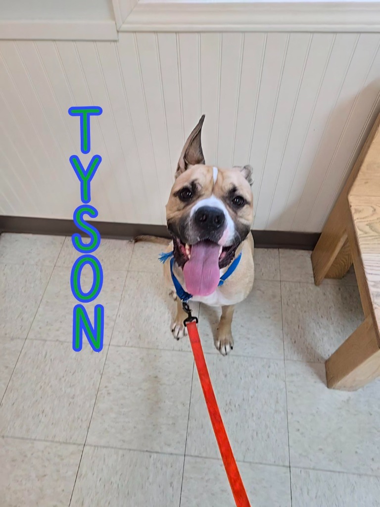 Tyson