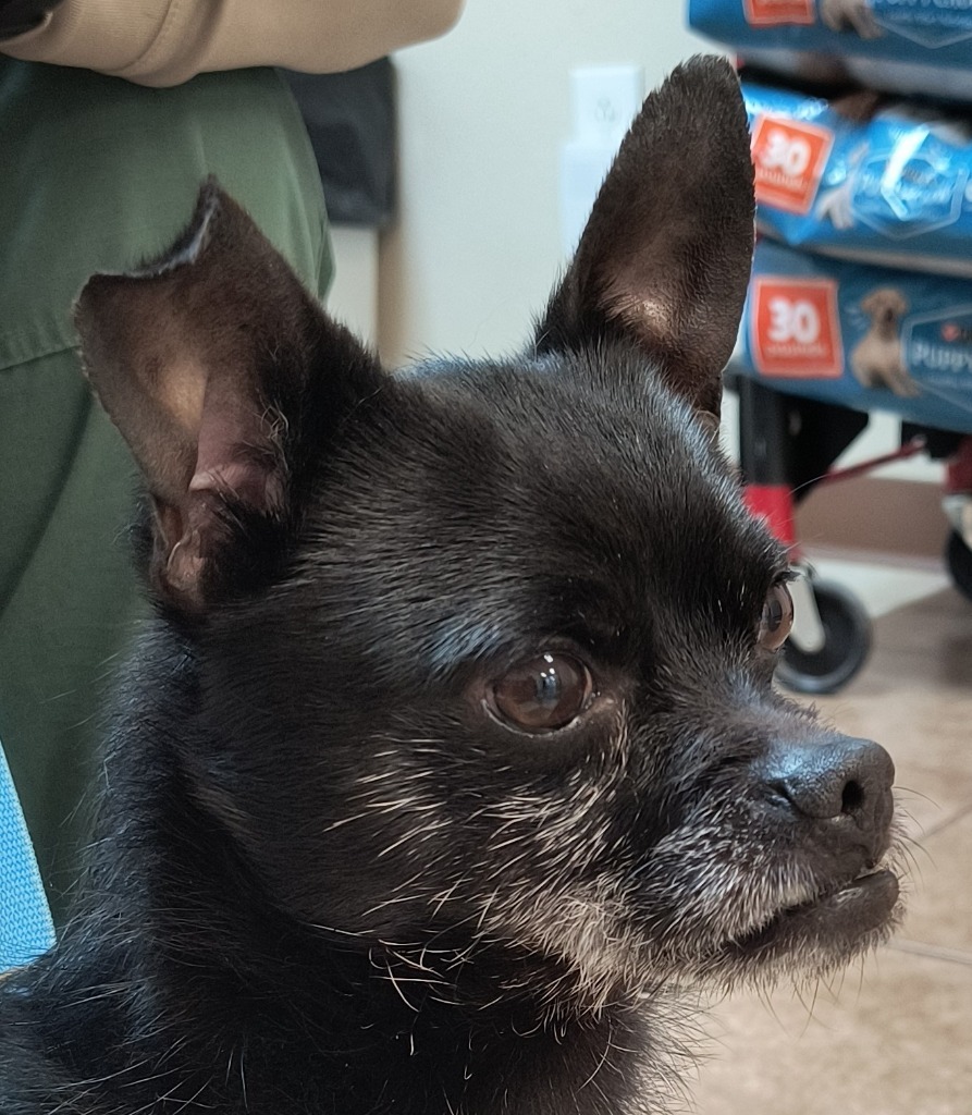 Prince