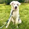 Oshie photo 1