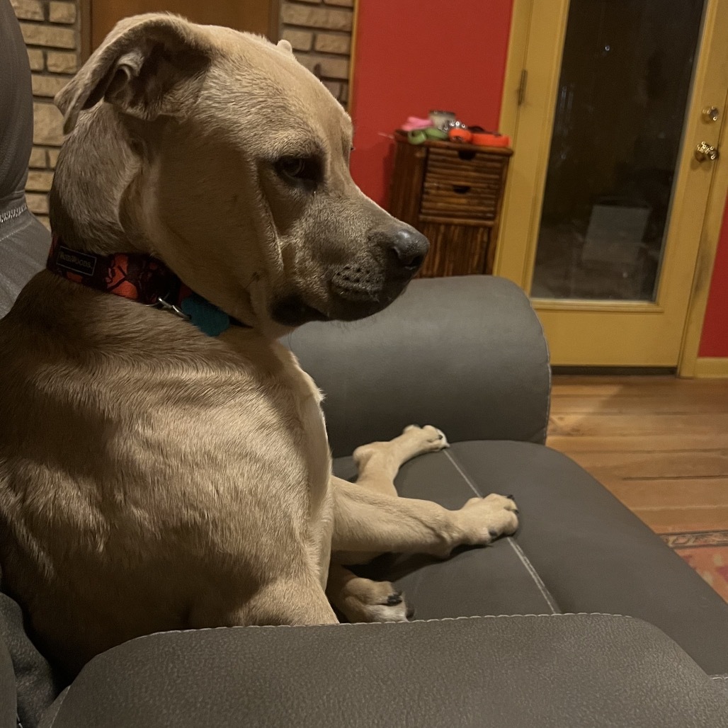 Django