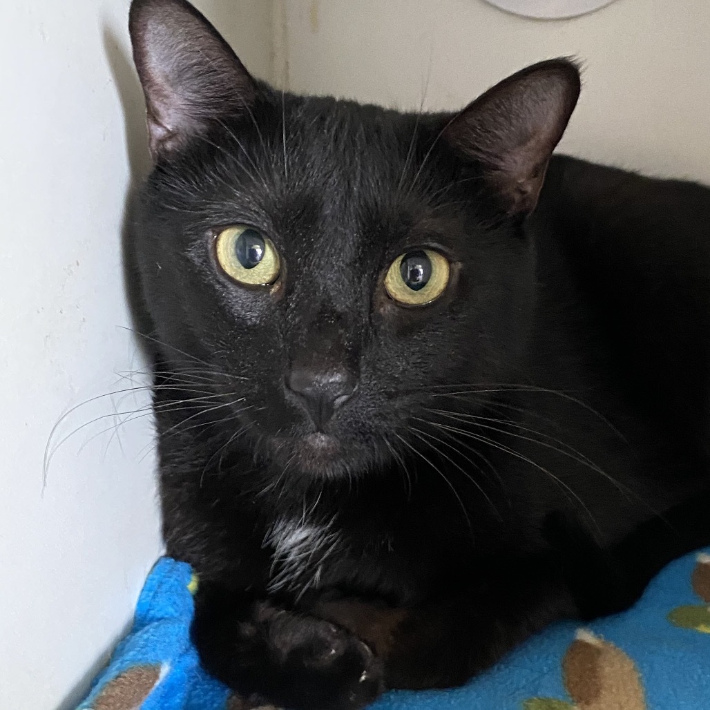 Binx