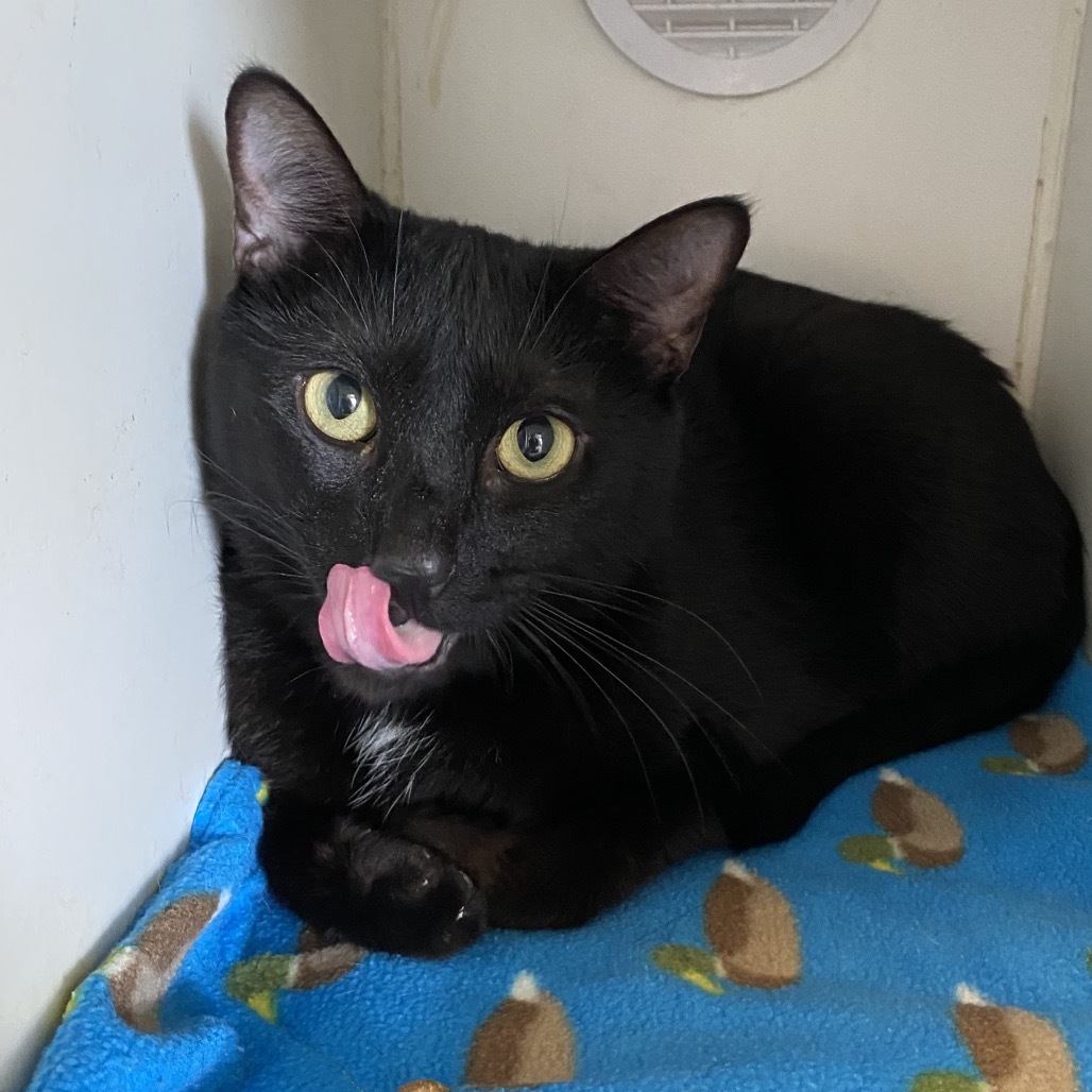 Binx