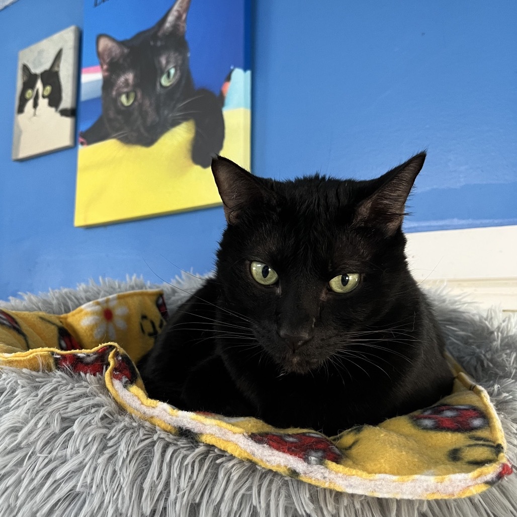 Binx