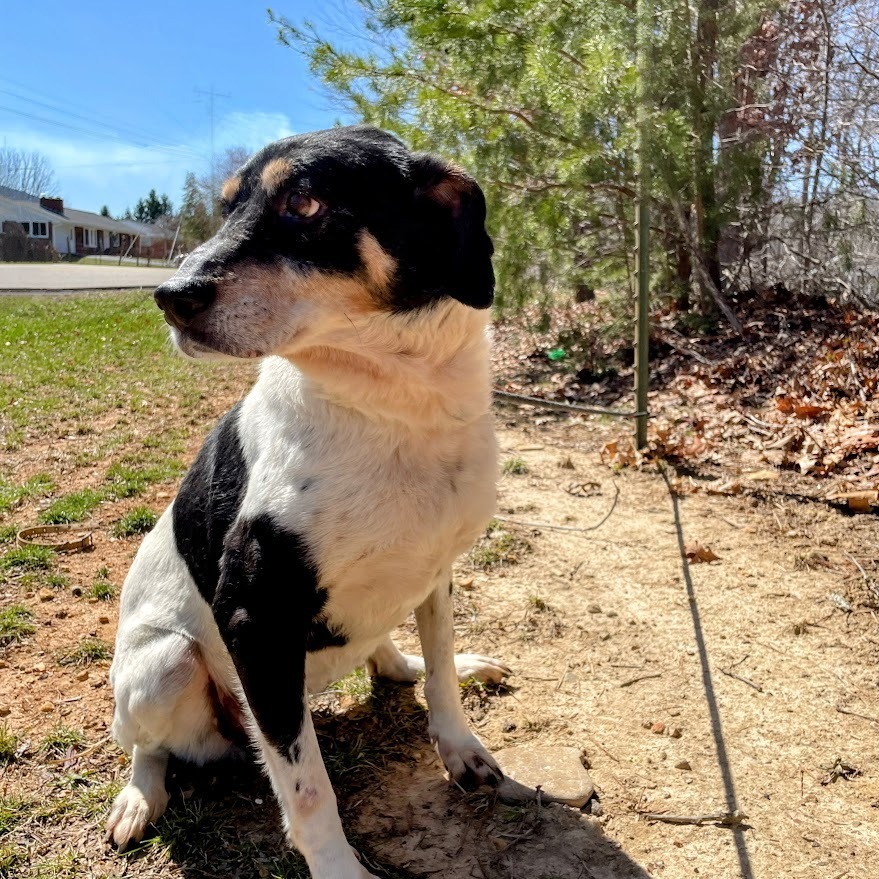 Suzie