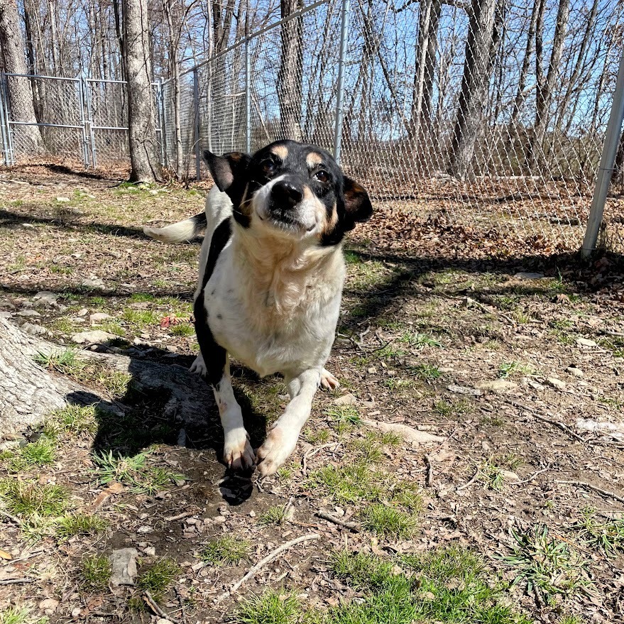Suzie