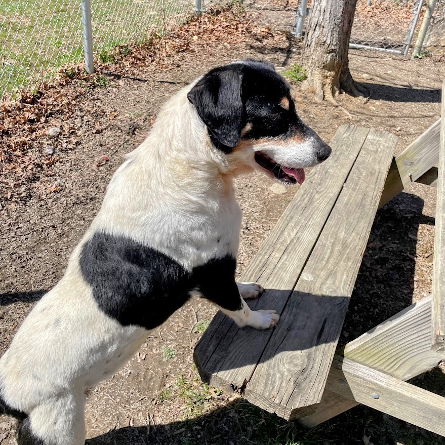 Suzie
