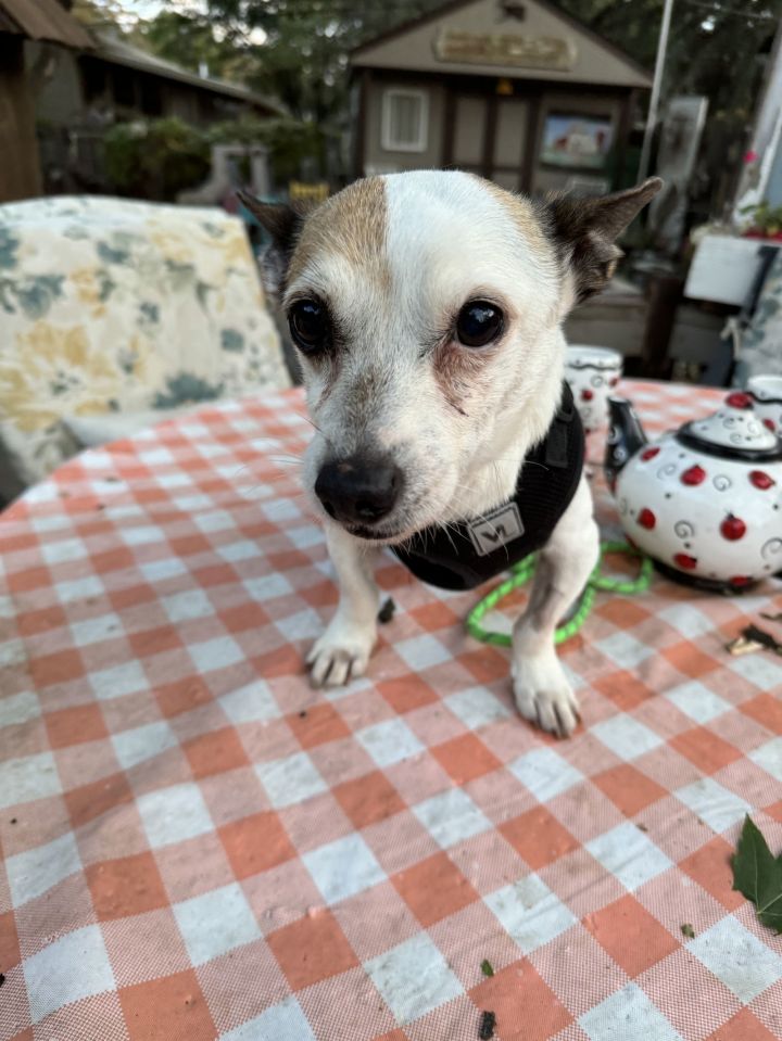 George 2