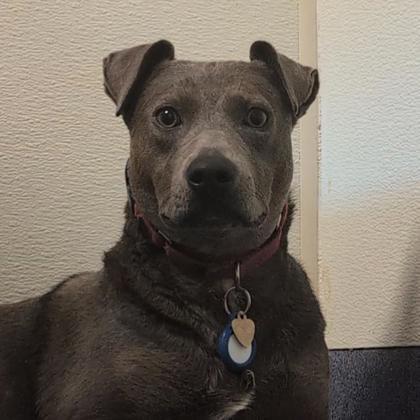 Ellie