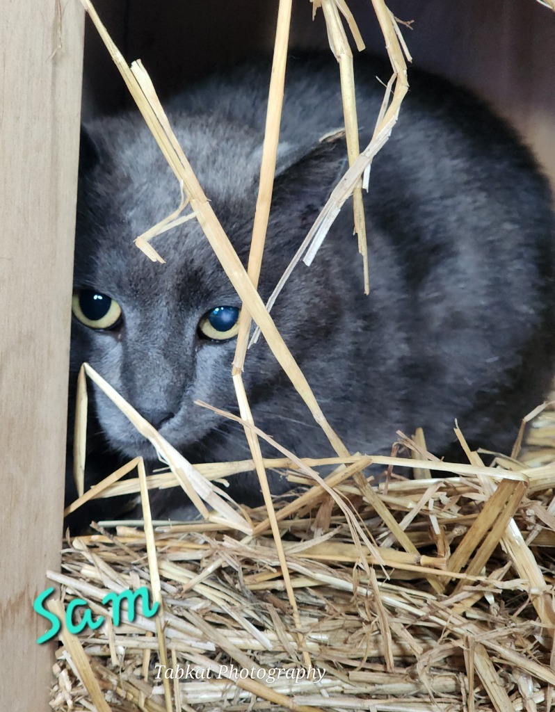 Sam