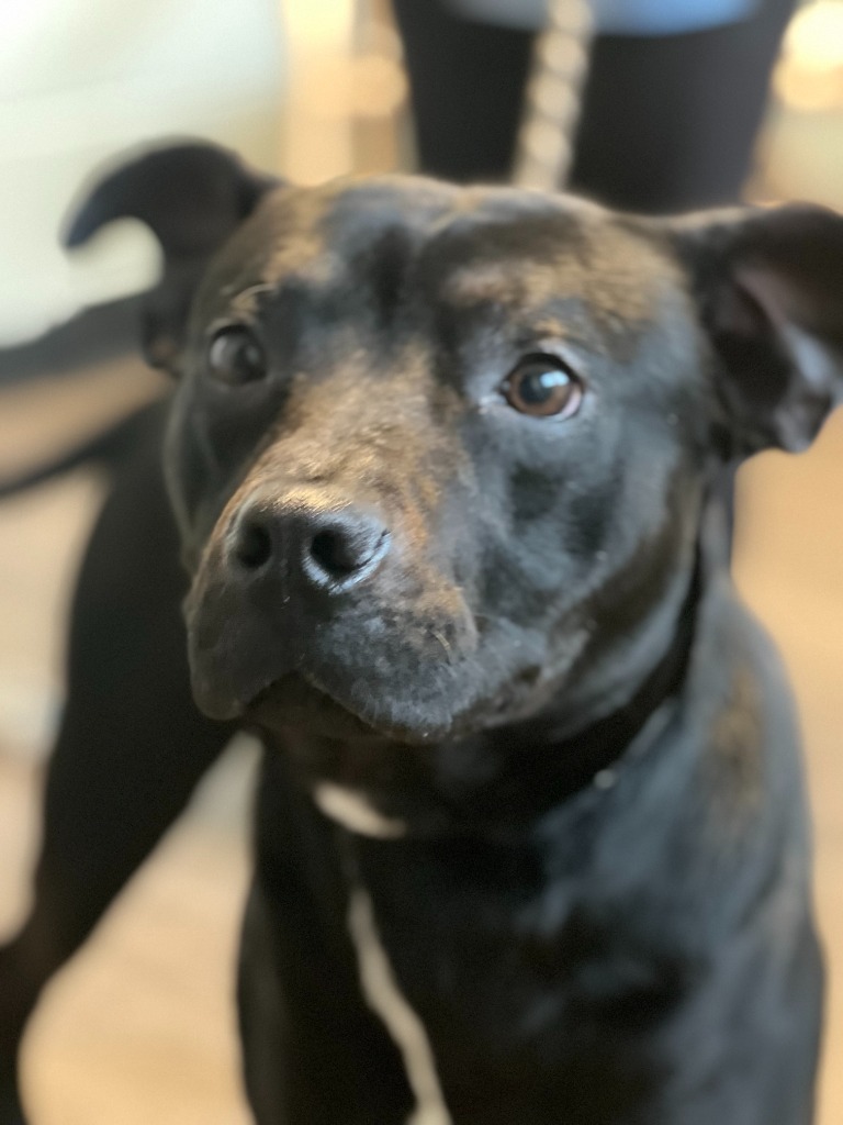 Django