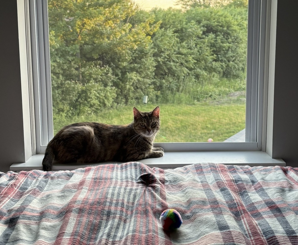 Lori