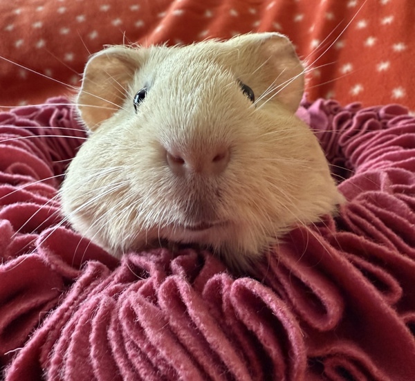 Twix