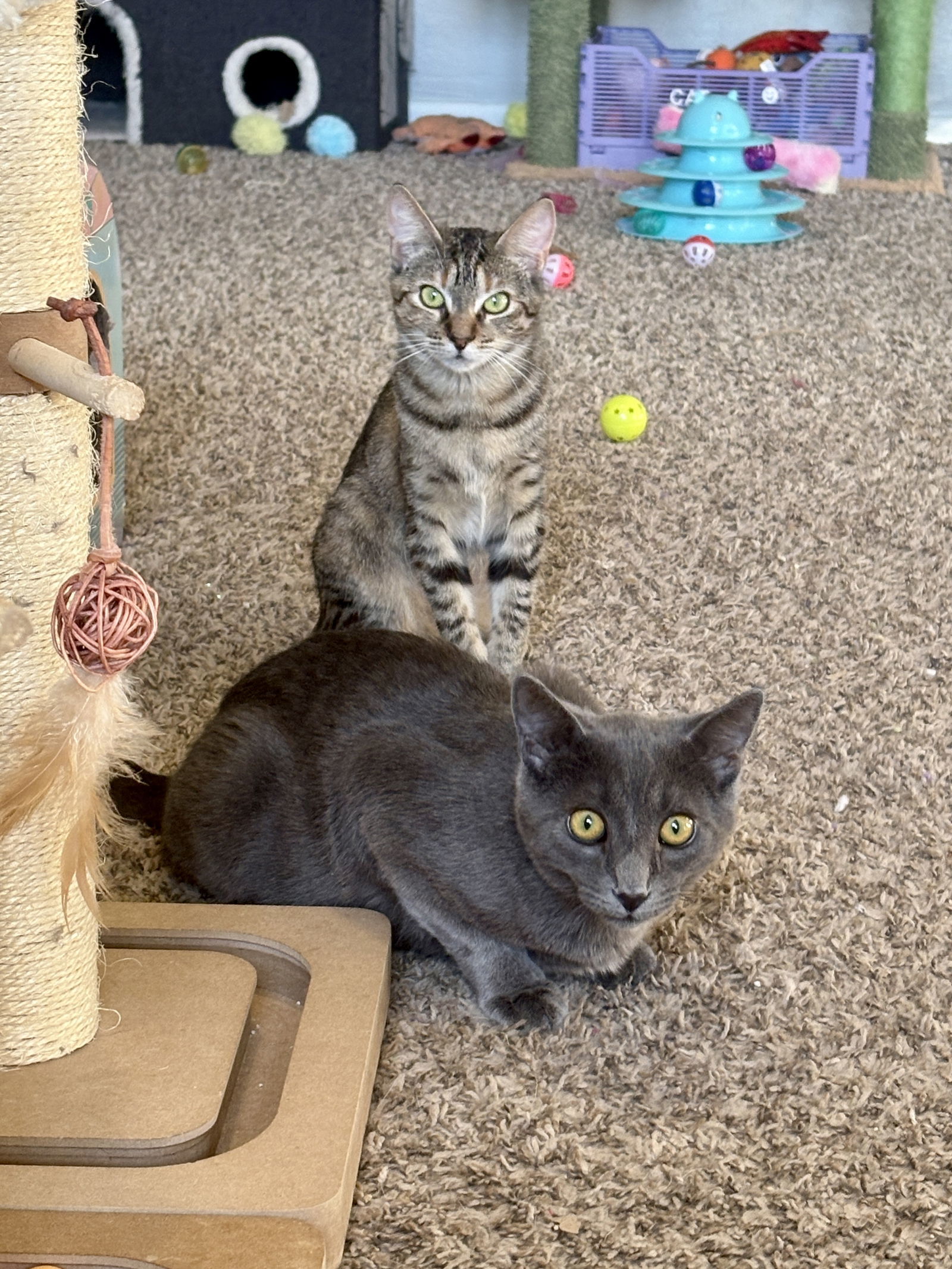 Sally BONDED with Johnny