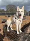 Skye