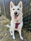 Skye