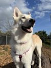 Skye
