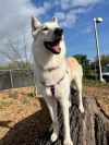 Skye