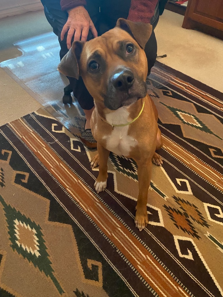 Ronan