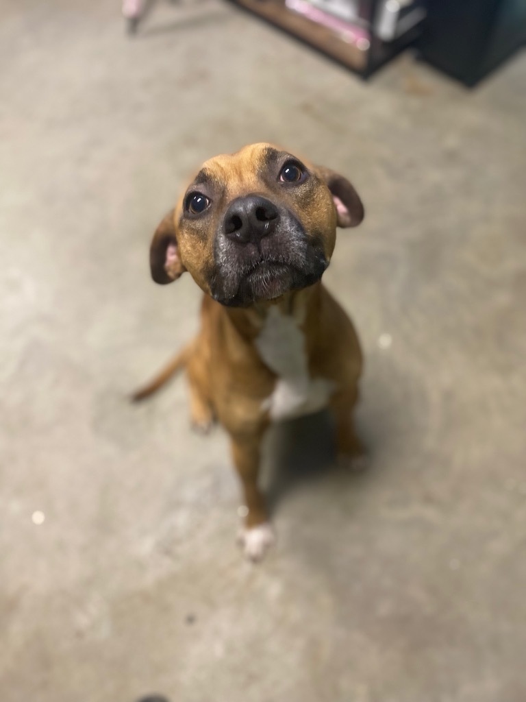 Ronan