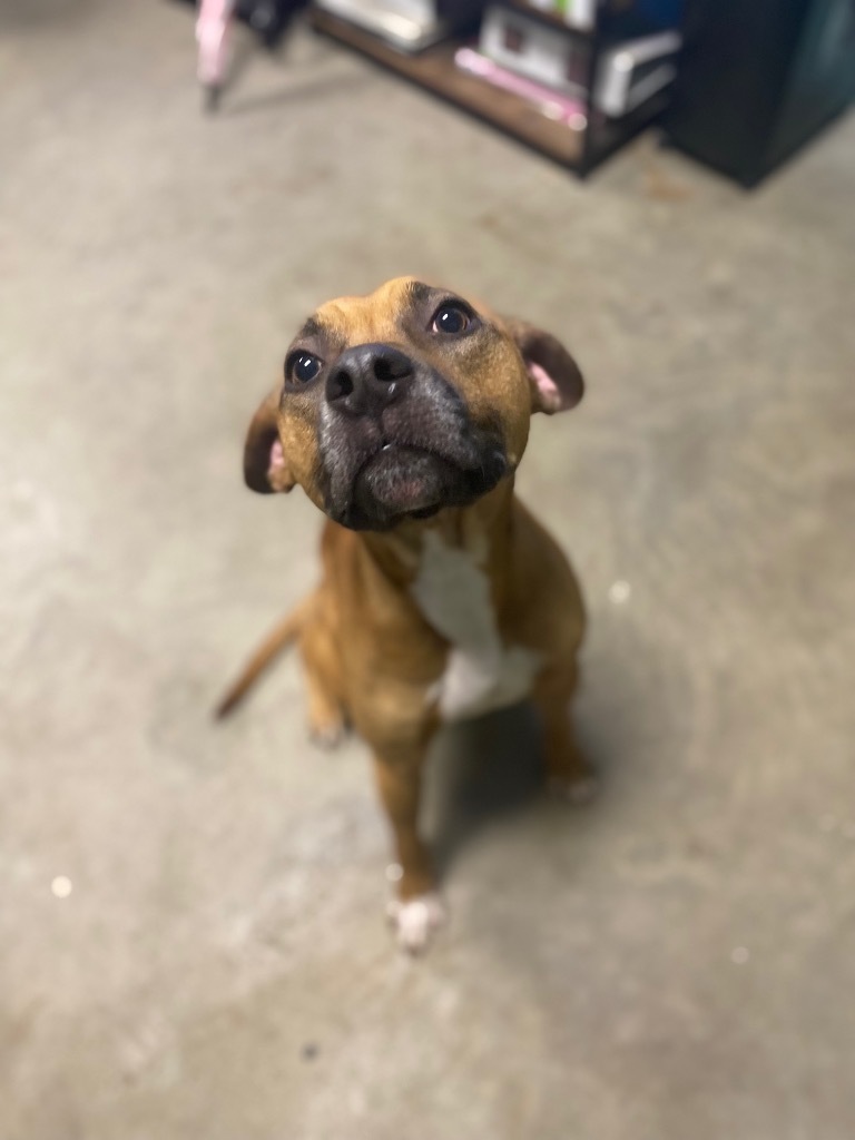 Ronan