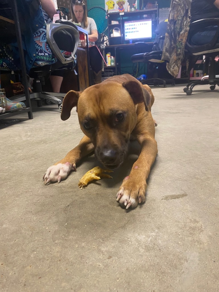 Ronan