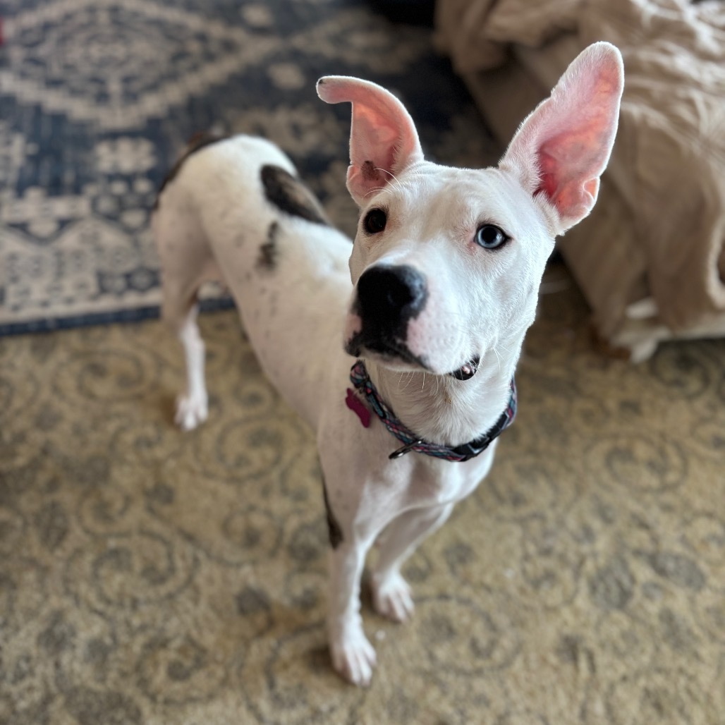 Etta