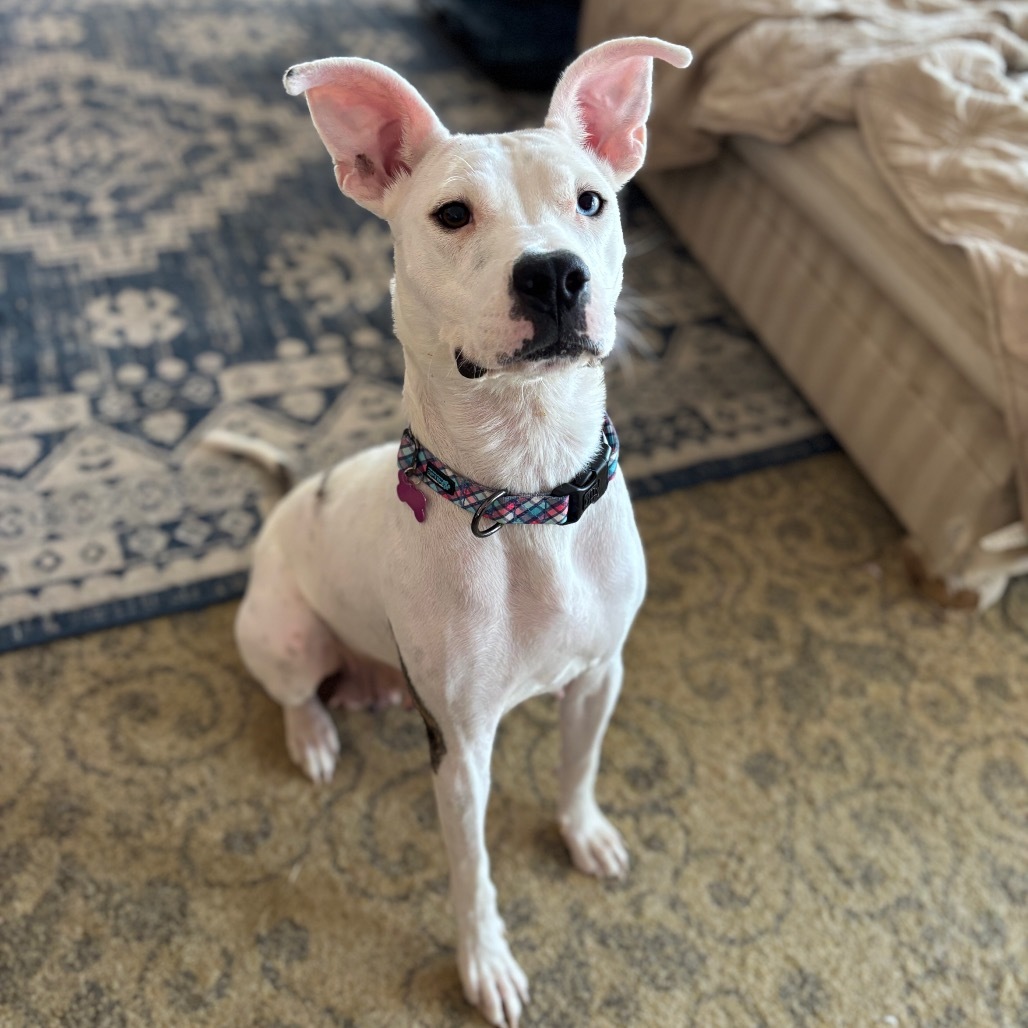 Etta