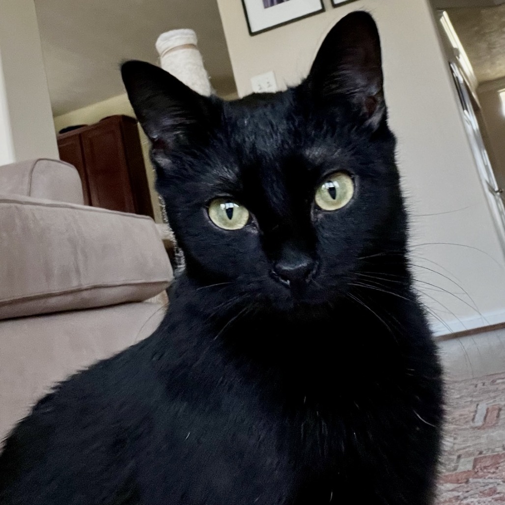 Nyx