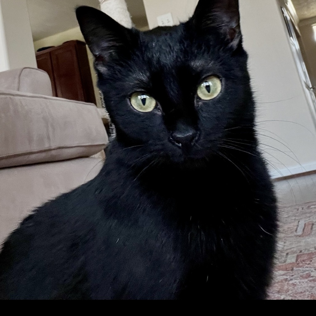 Nyx