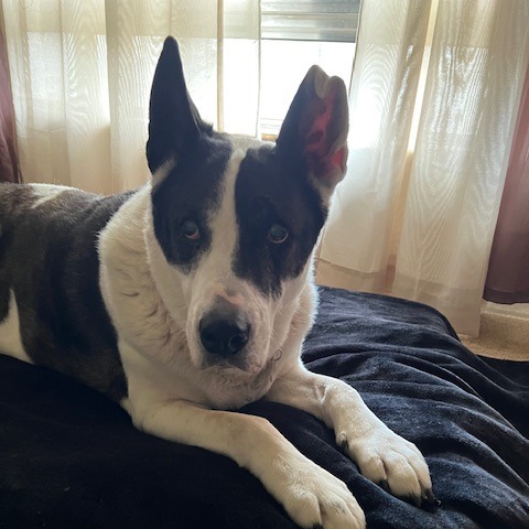 Zoey