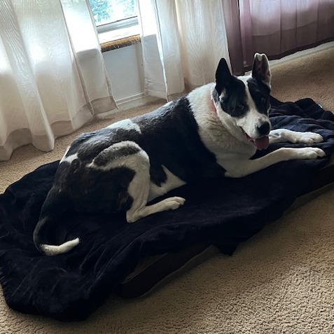 Zoey