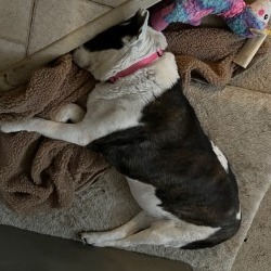 Zoey
