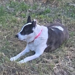 Zoey